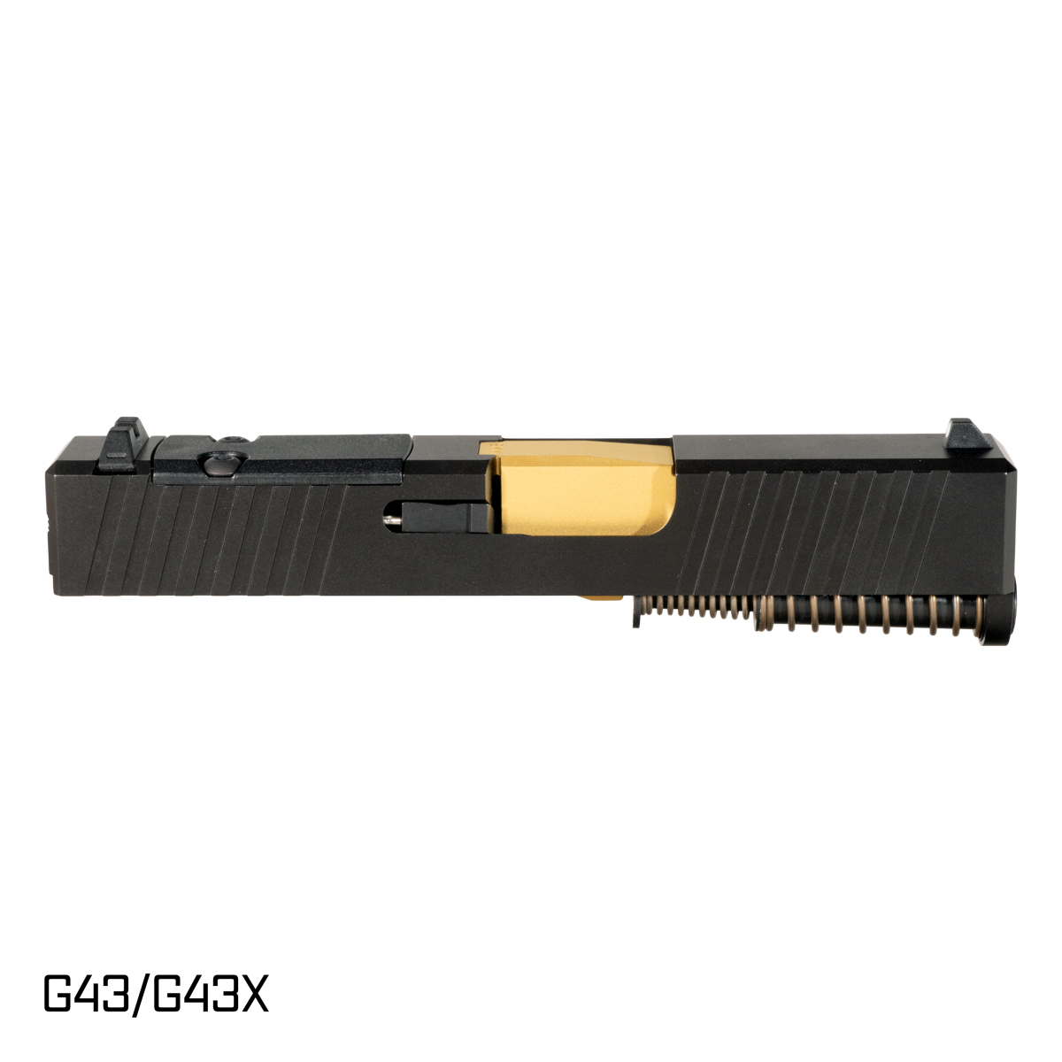 PI-CGS-43-54648-1.jpg