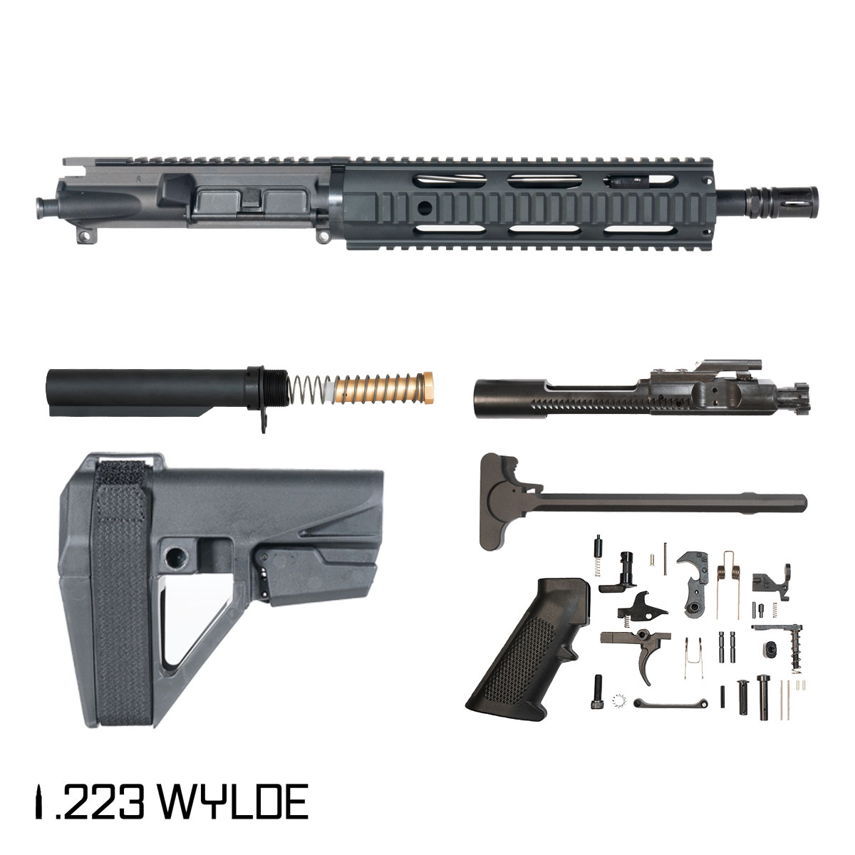 Davidson Defense Latency w/Magpul BTR Brace 10.5-inch Pistol-Gas 1