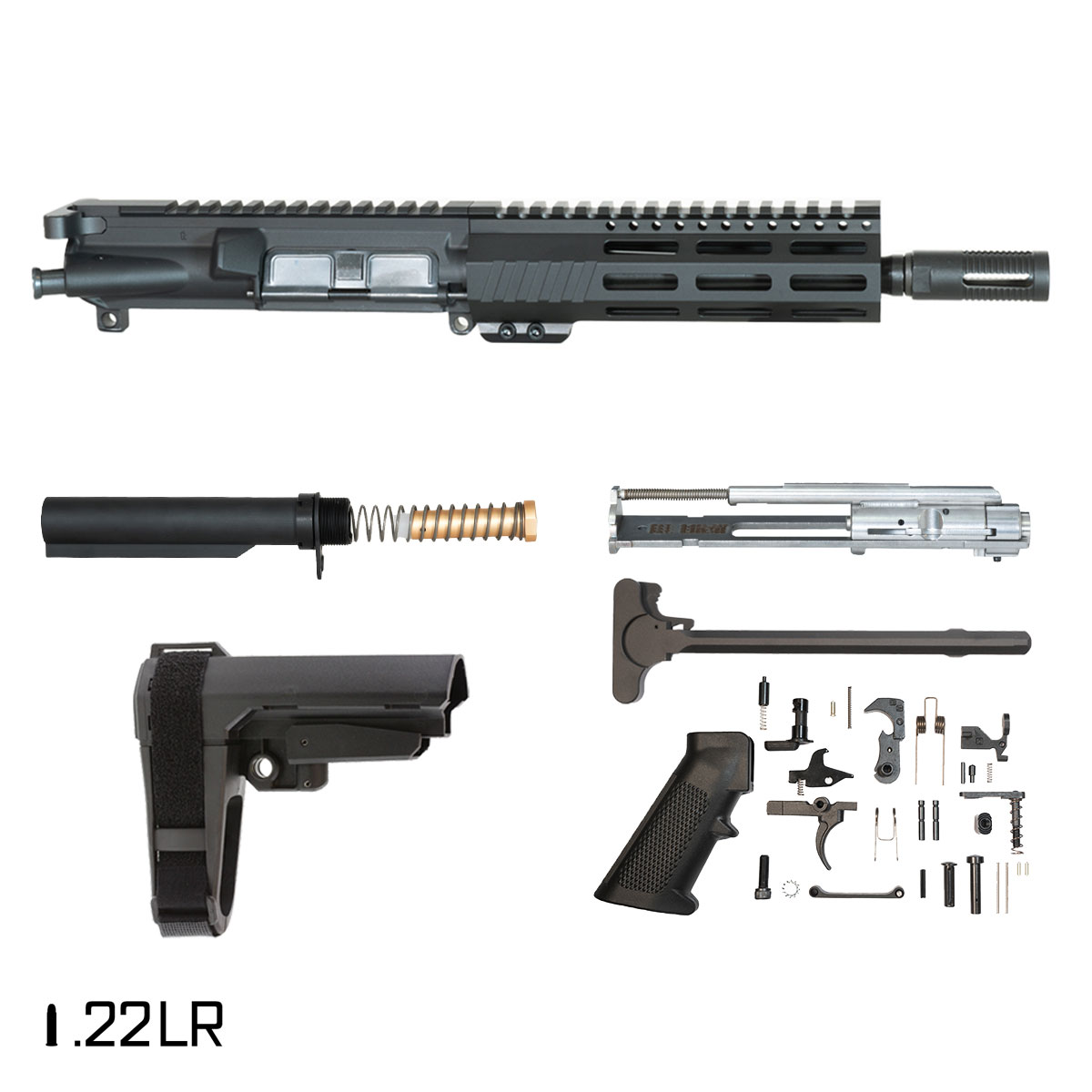 Davidson Defense Aegis w/SBA3 Brace 9-inch .22 LR AR-15 Freefloat M-Lok Handguard Pistol Full Build Kit