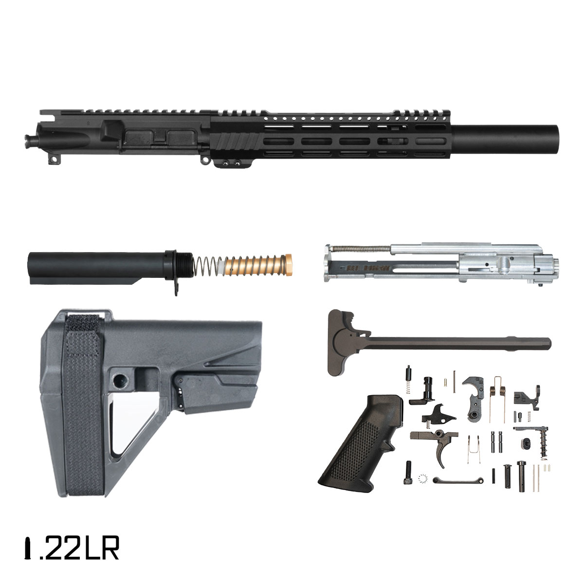 Davidson Defense Aegis Lightweight w/SBA5 Brace 9-inch .22 LR AR-15 M-Lok Handguard Pistol Full Build Kit