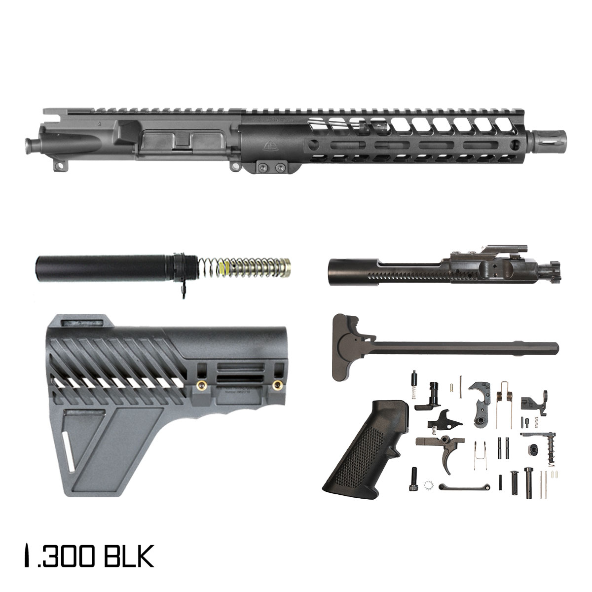 Davidson Defense Fleetbane w/Gauntlet Arms Brace 10.5-inch Pistol-Gas 1:8 .300 BLK AR-15 Freefloat M-Lok Handguard Pistol Full Build Kit