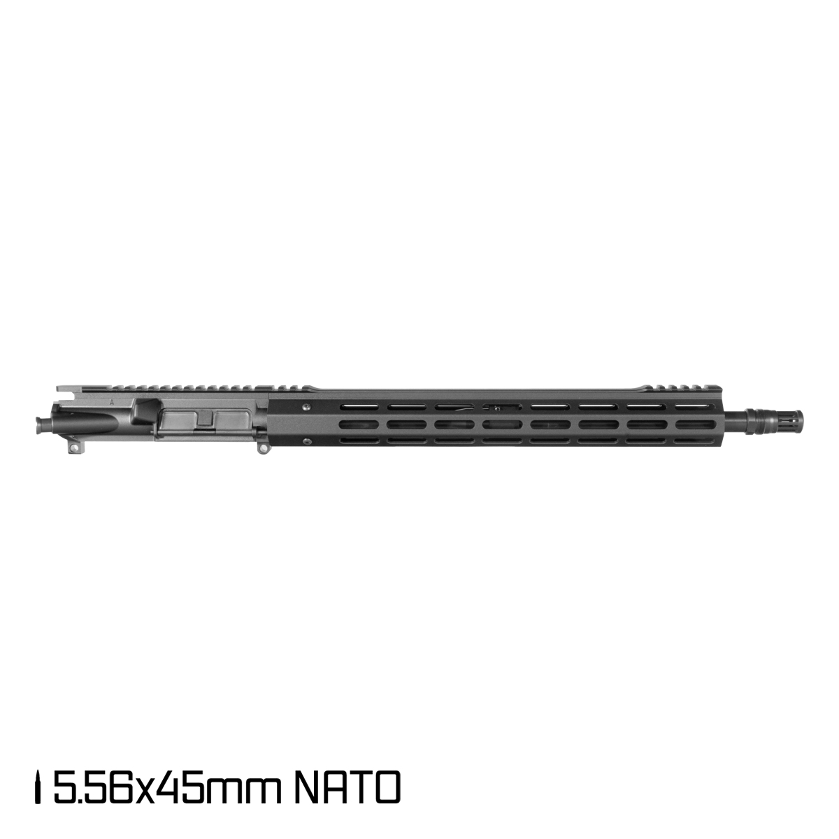 PI-R-556-64985-1.jpg